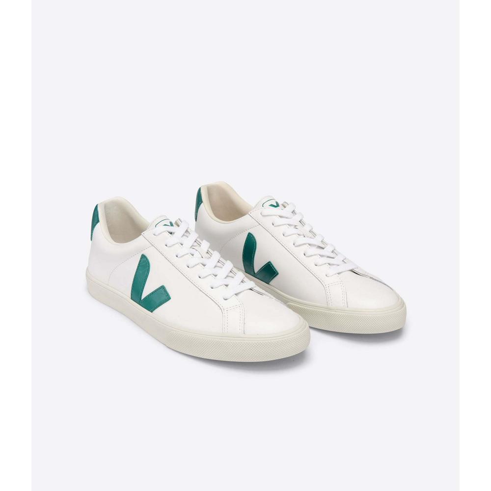 Men's Veja ESPLAR LEATHER Sneakers White/Green | SG 305ZUT